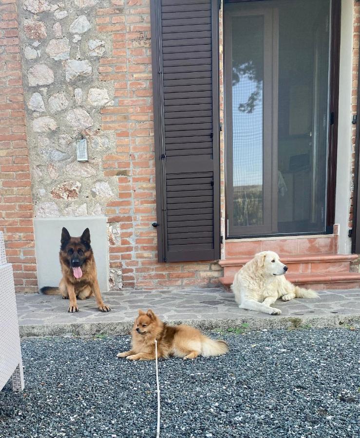 Casa Vacanze Arcobaleno Grosseto Buitenkant foto